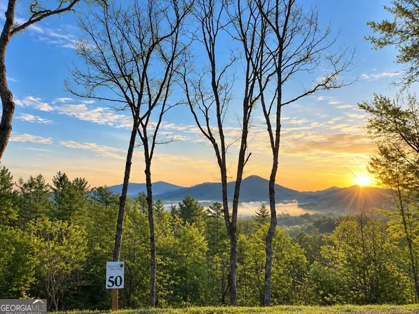 50 Mountain Laurel Dr, Mineral Bluff, GA 30559