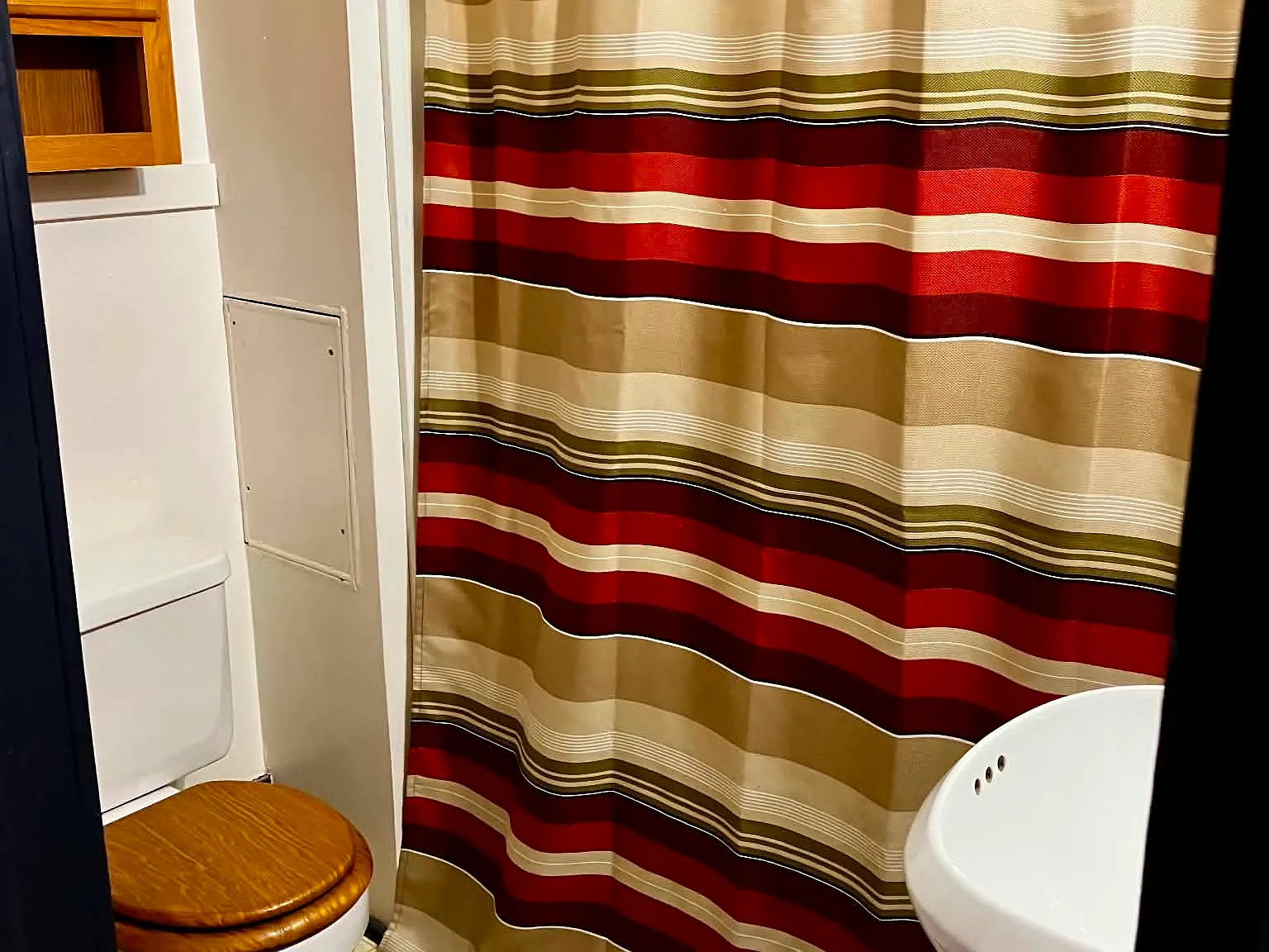 1 bed, $750 — Photo 4