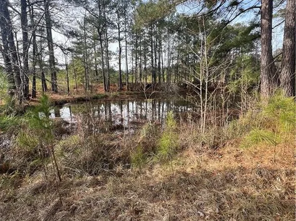 0 Highway 165, Pollock, LA 71467