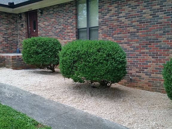 4th image of 1820 Seven Oaks Dr