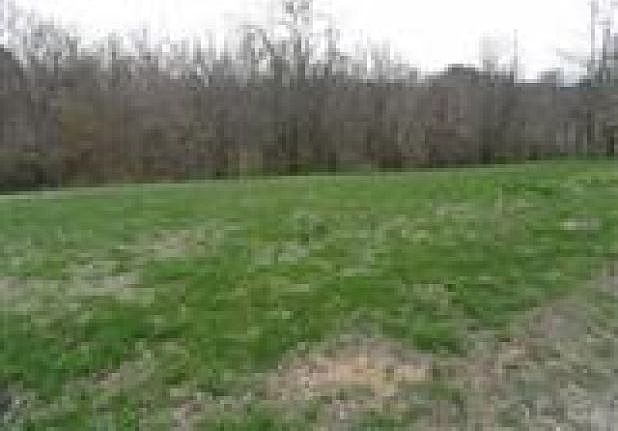2nd image of 988 Stephenson Mill Rd