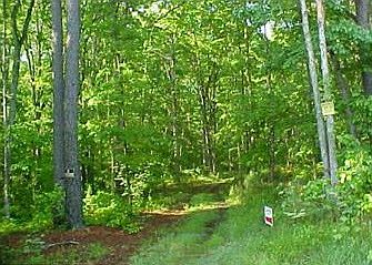 2nd image of Woodlands Dr