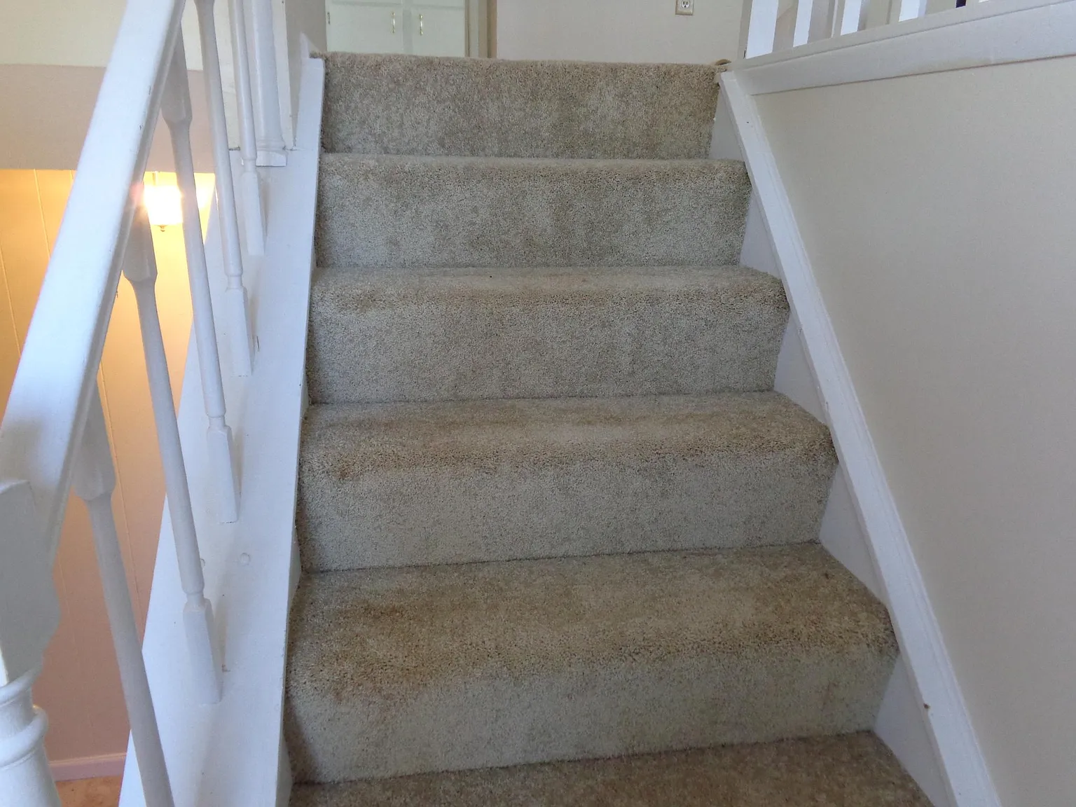 4 bed, 1800 sqft, $2,300 — Photo 4
