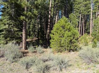 691 Redtail Loop Rd, Clio, CA 96106