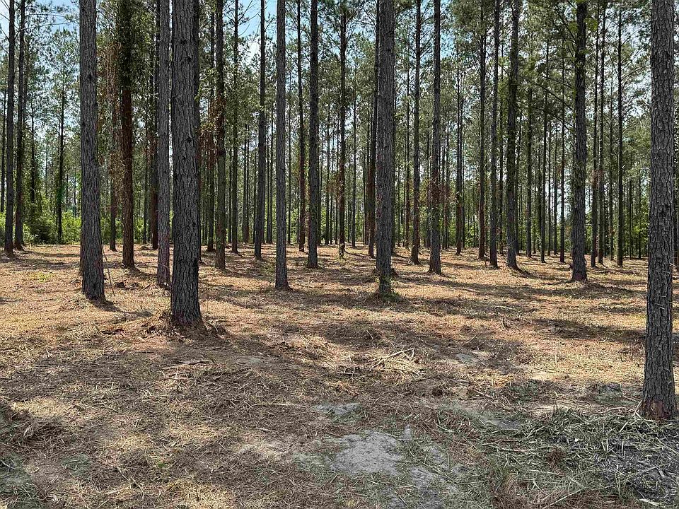 1st image of 0 Ronald Sanks Rd