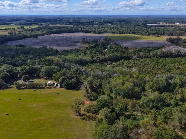 0 County Road 3324, Brundidge, AL 36010