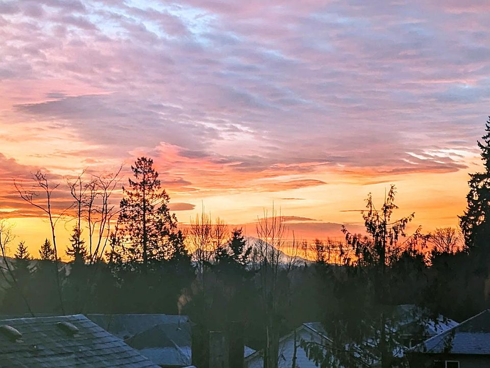 Mount Rainer view from the master bedroom