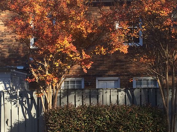 mature-designed landscaping 