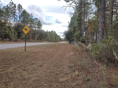 SE 120th Ct Lot 11, Morriston, FL, 32668