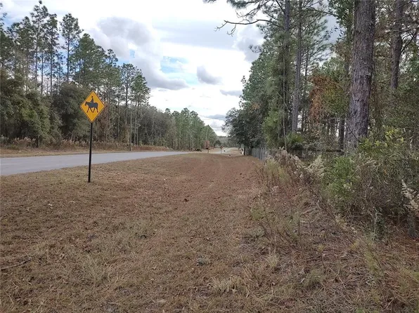 SE 120th Ct Lot 11, Morriston, FL 32668