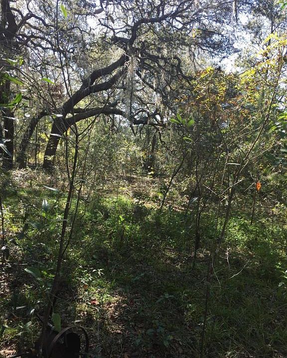 2nd image of 227 N Cooper Lake Dr