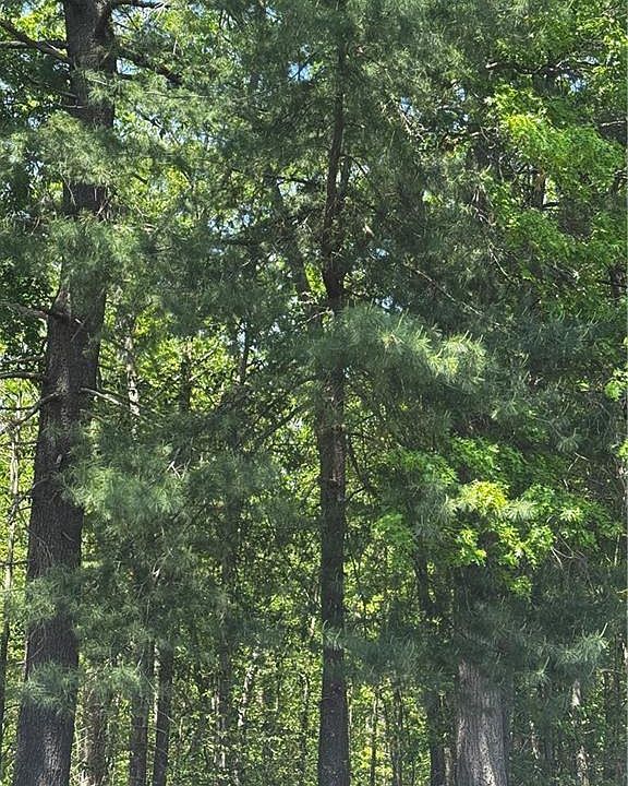 1st image of 0 E Wallum Lake Rd