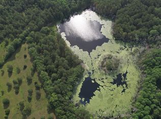 736 Arnett School Rd, Sylvania, GA 30467