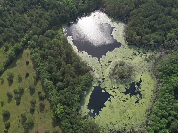 736 Arnett School Rd, Sylvania, GA 30467