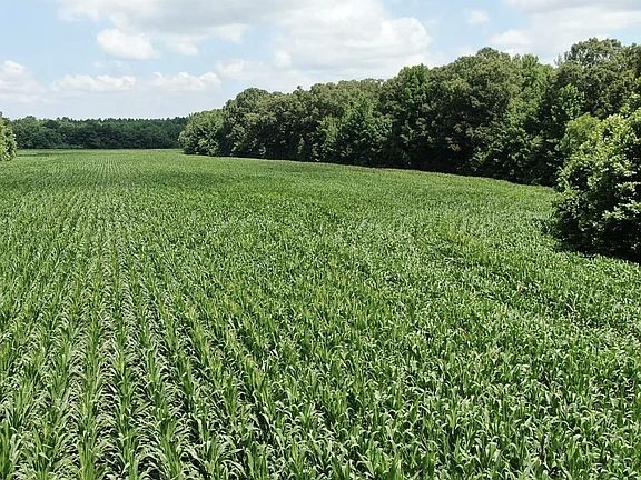 2nd image of 0 Dorse Rd