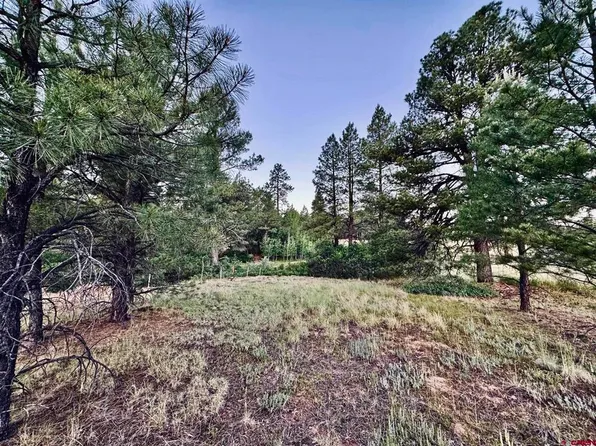 3898 N Pagosa Boulevard, Pagosa Springs, CO 81147