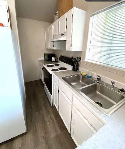 1147 Tabby Ln — Photo 15