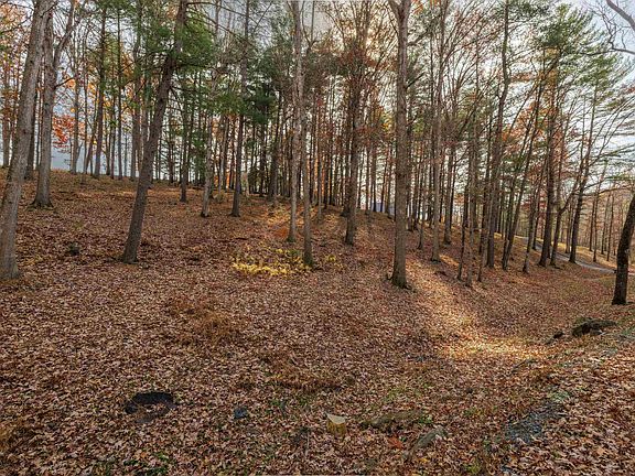 5th image of Plum Tree Draft Rd