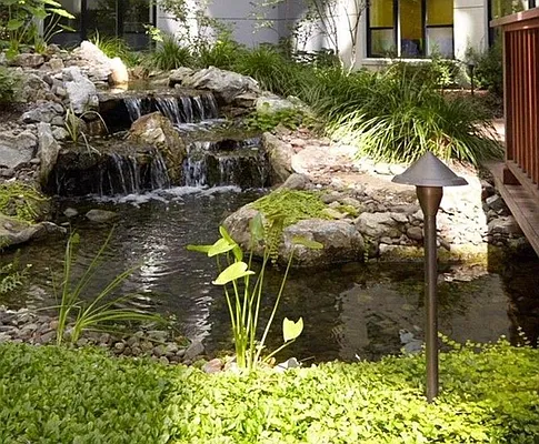 Rented by Compass | media 14