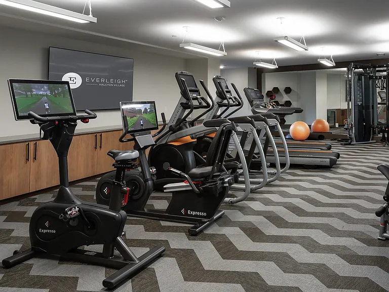 Everleigh Halcyon Village- 55+ Active Adult Apartment Homes — Photo 8