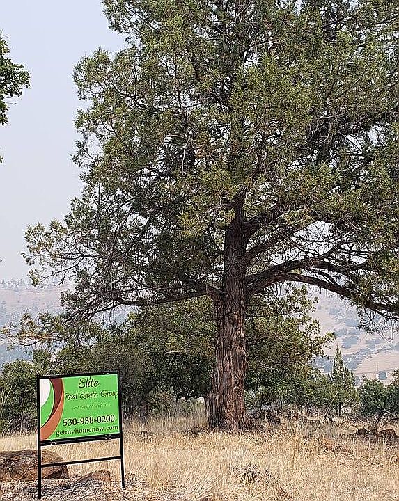 1st image of Owens Way Lot 626