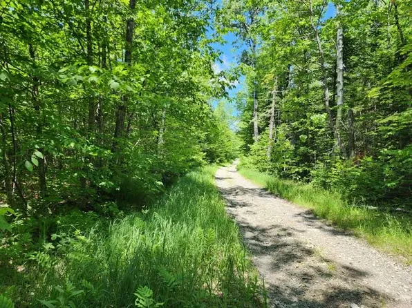 L 8 McManus Tote Road, Mount Chase, ME 04765