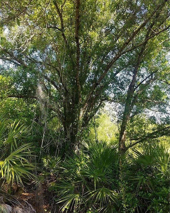 2nd image of 6751-3 Rich Rd
