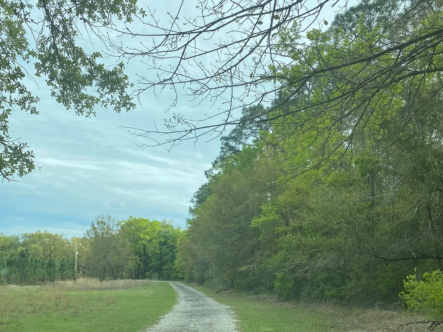 4 bed, 3000 sqft, $2,650 — Photo 4