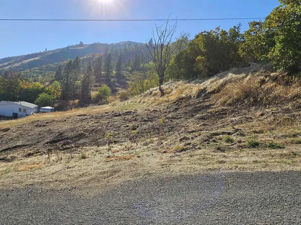 313 Lynn Ave, Juliaetta, ID 83535