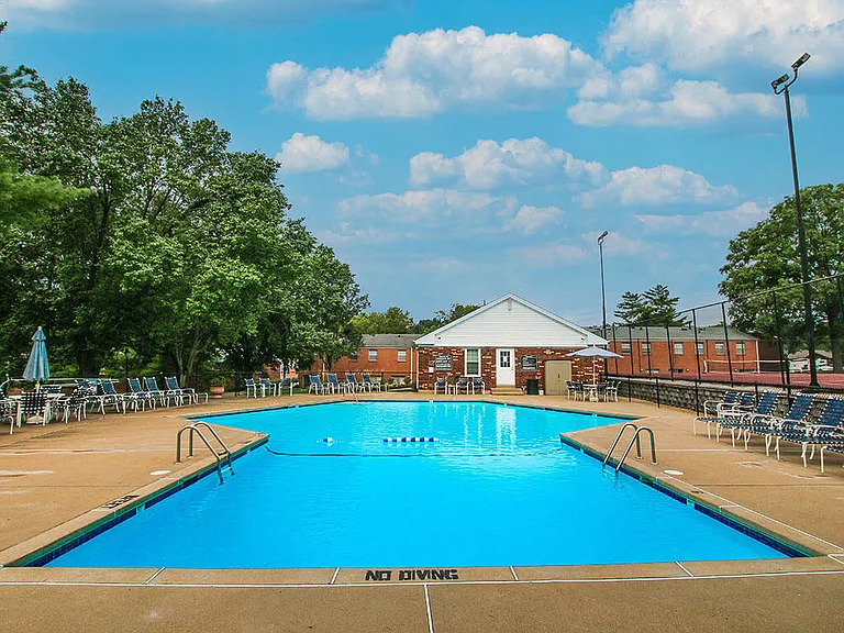 Sparkling Swimming Pool!
