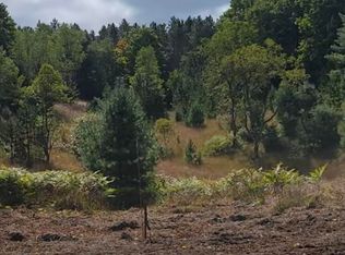 4141 Timber Ridge Rd NW, Rapid City, MI 49676