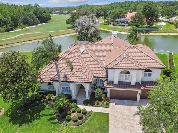 9105 Woodridge Run Dr, Tampa, FL 33647