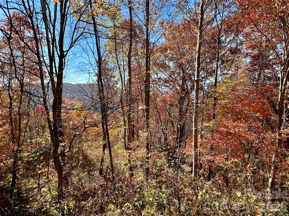 0 Grizzly Rdg Lot 57, Bryson City, NC 28713