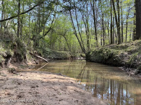 Auburn Dr SW, Bogue Chitto, MS 39629