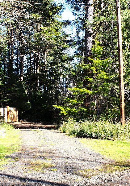 3rd image of 43 Dolphin Lane