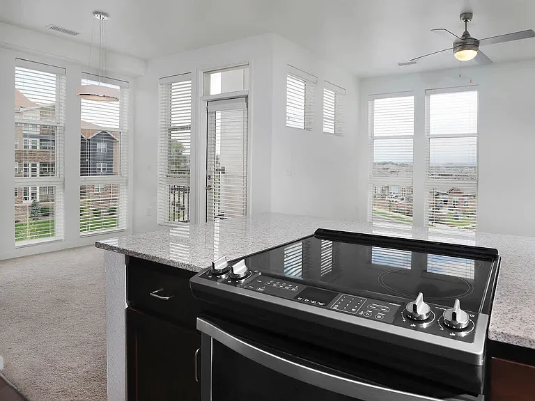Kitchen with Stainless Steel Appliances and Granite Countertops