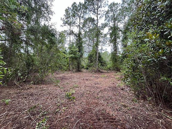 4th image of 147 Roebuck Street