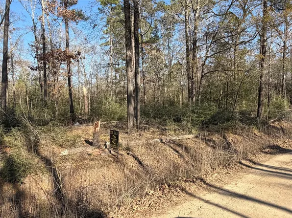 Wild Bird Lot 13 & 14, Livingston, TX 77351