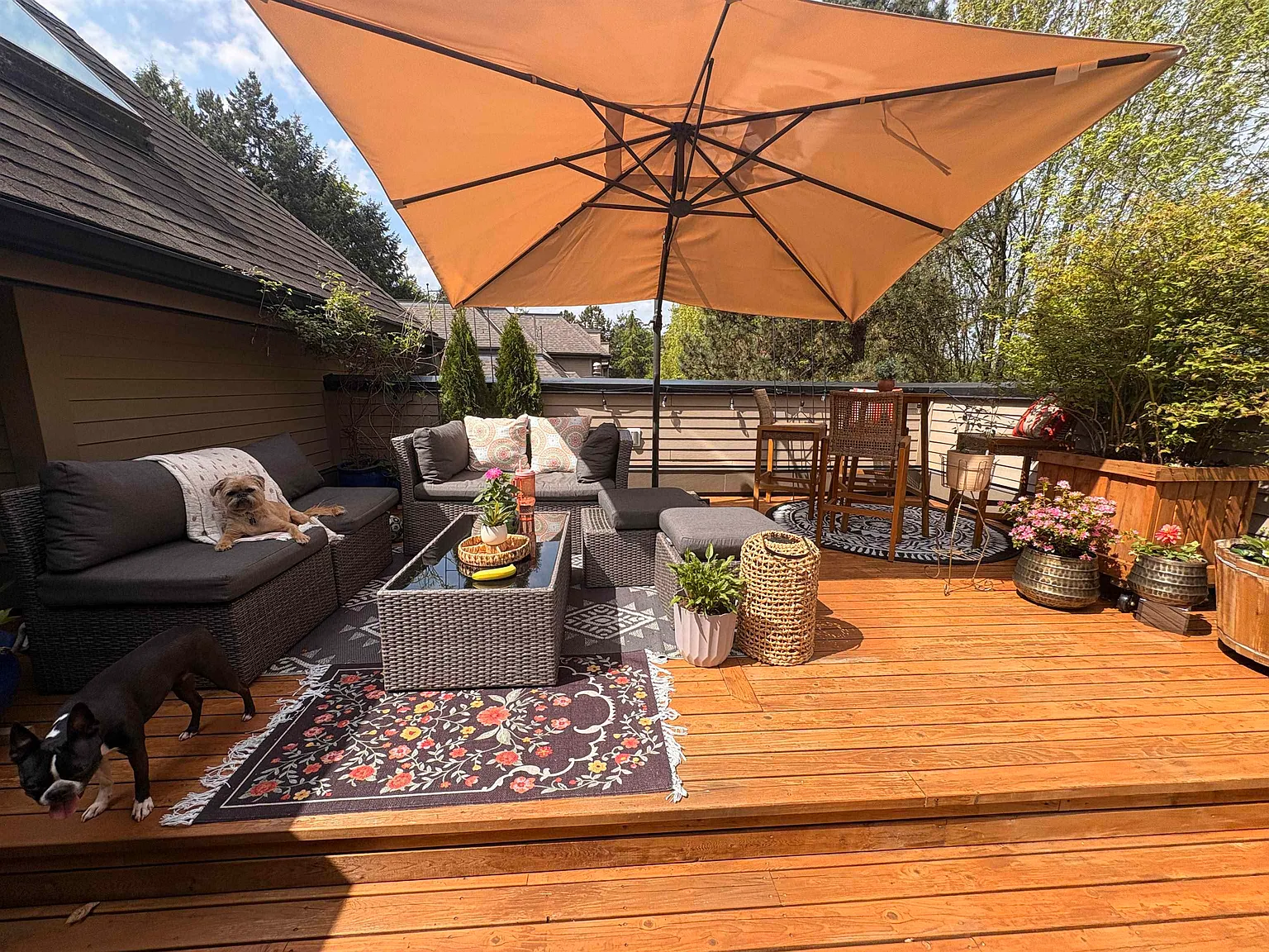 2 bed, 1070 sqft, $3,200 — Photo 1