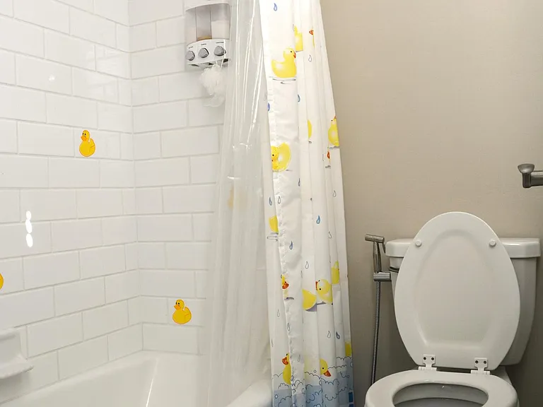 Bathroom 3 - bathtub and toilet