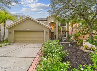 19103 Marisa Ridge Pl, Tampa, FL 33647