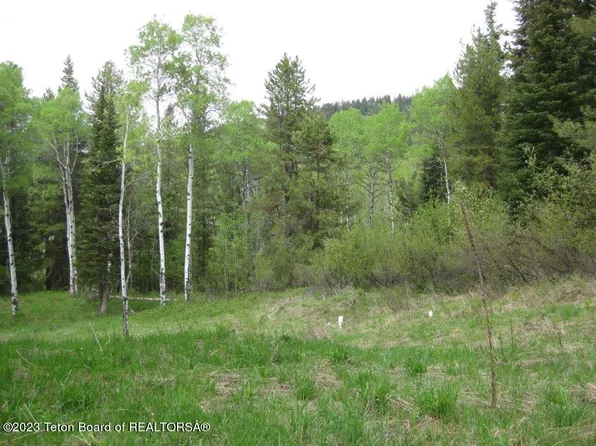 570 Upper Ridge Rd, Alpine, WY 83128