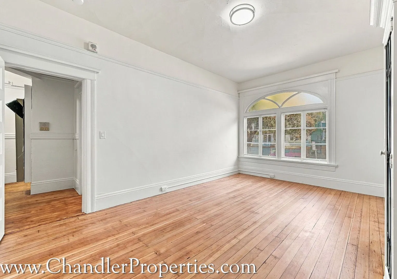 1135 Masonic Avenue Apartments — Photo 2