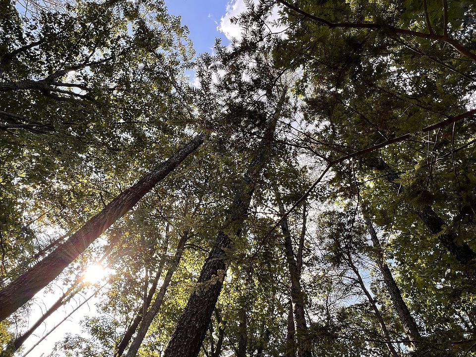 1st image of 72 Lady Slipper Ln Lot 85
