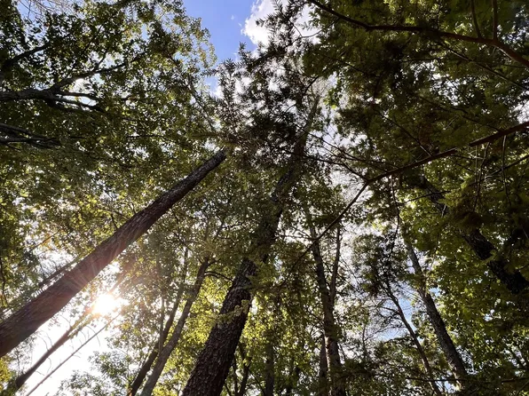 72 Lady Slipper Ln Lot 85, Sewanee, TN 37375