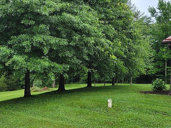 Left side of back yard
