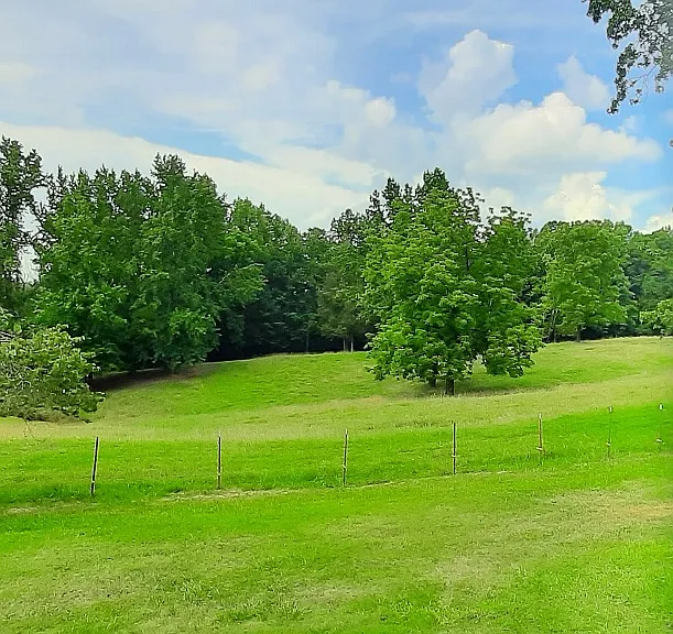 2900 Mosley Ferry Rd — Photo 11