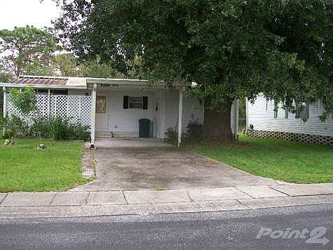 LARGE SHADE TREE