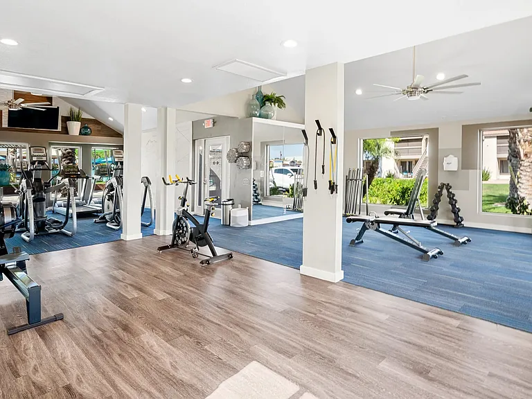 Enter a boundless fitness realm where the lines between apartment gym and a fitness guru's paradise blur.