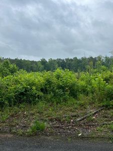 0 Davis Ln, Old Fort, TN, 37362